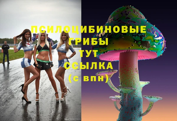 герыч Володарск