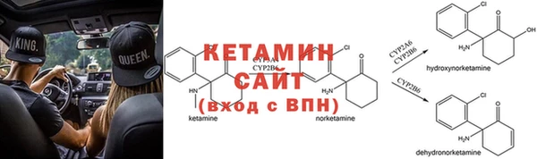 PSILOCYBIN Вяземский