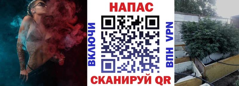 Конопля OG Kush  Енисейск 